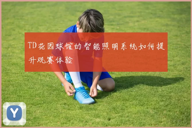 TD花园球馆的智能照明系统如何提升观赛体验